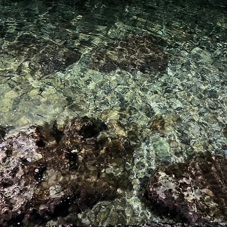 Afissos-Dream 3Studios Εξωτερικό φωτογραφία