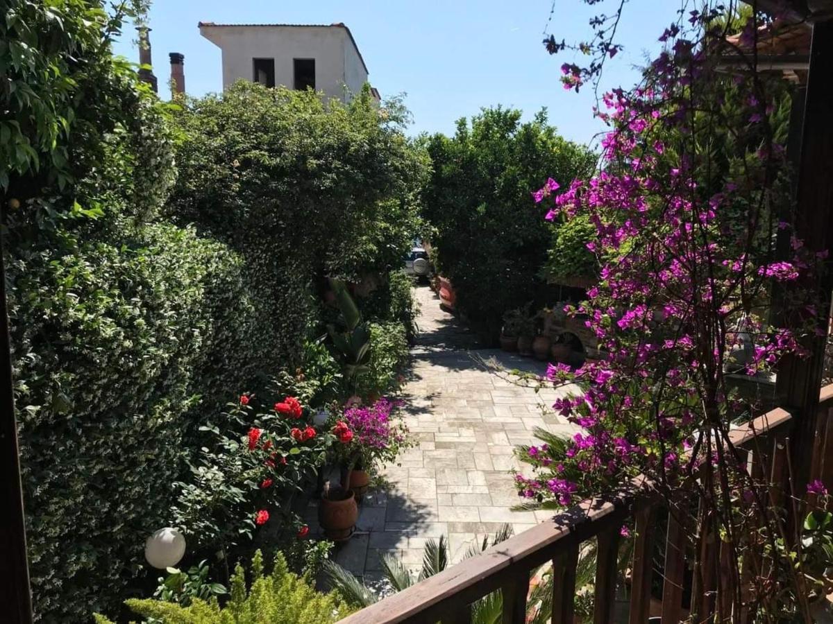 Afissos-Dream 3Studios Εξωτερικό φωτογραφία